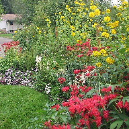 Bed and Breakfast The Grateful Bed B'N'B Prince George Exteriér fotografie