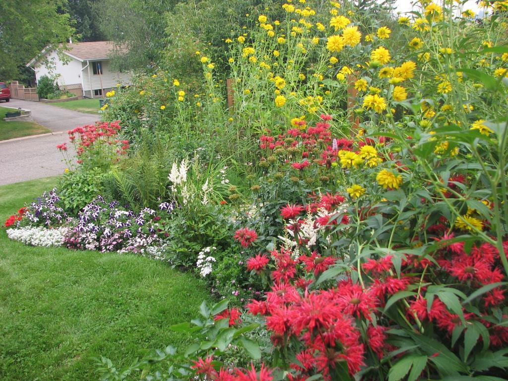 Bed and Breakfast The Grateful Bed B'N'B Prince George Exteriér fotografie